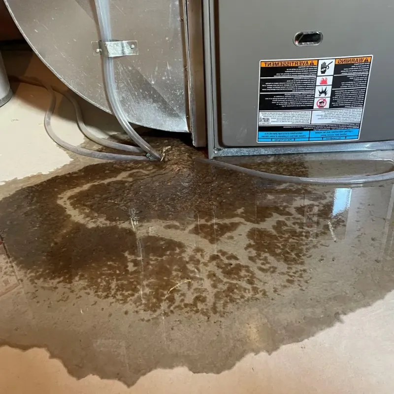 Pipe Burst and Leak Restoration in Ridgely, MD