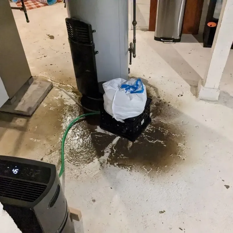 Sewage Backup Cleanup Service in Ridgely, MD
